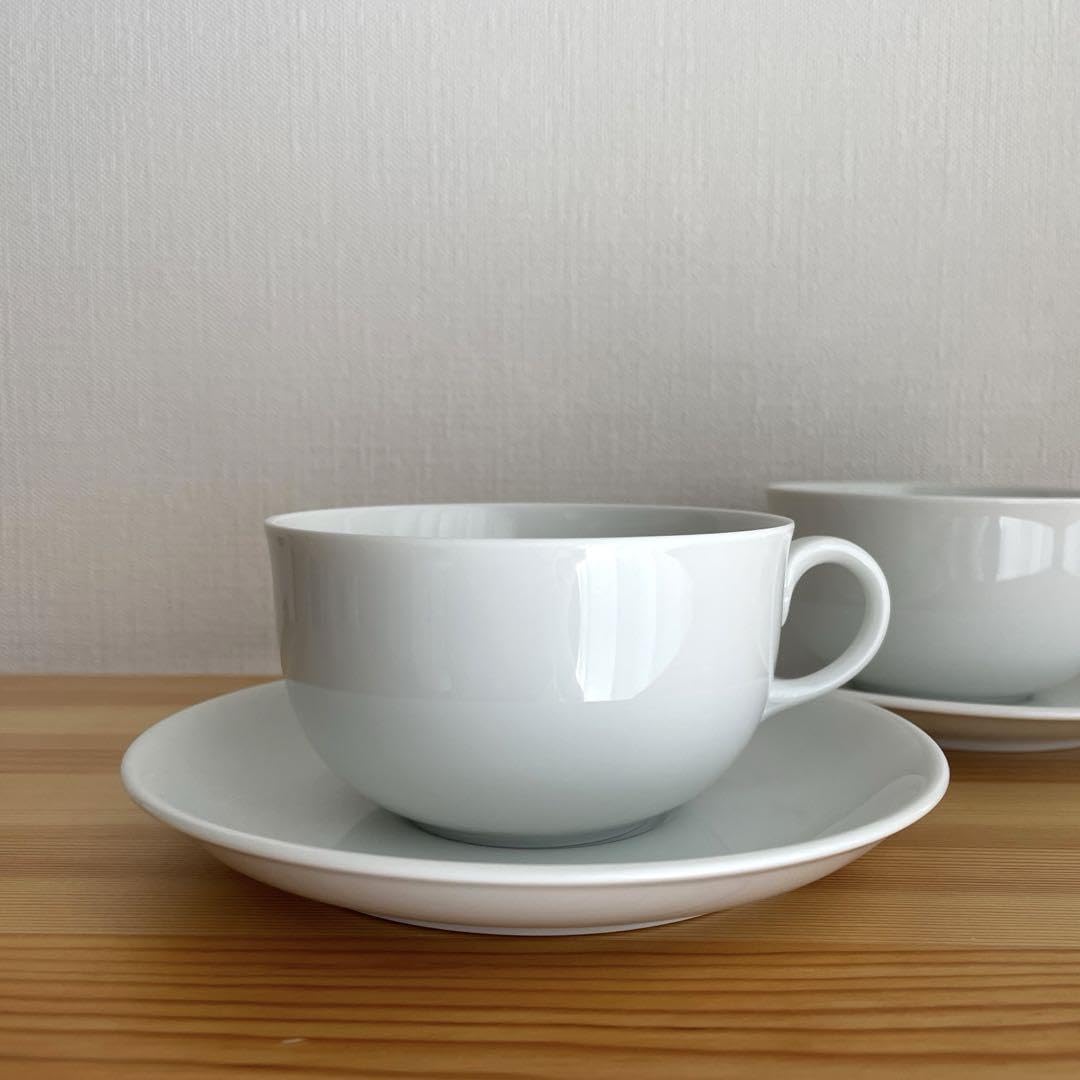 AUGARTEN カップ&ソーサー2セット(Ｐ) アウガルテン プリンスオイゲン カップ＆ソーサー 2客セット